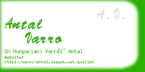 antal varro business card